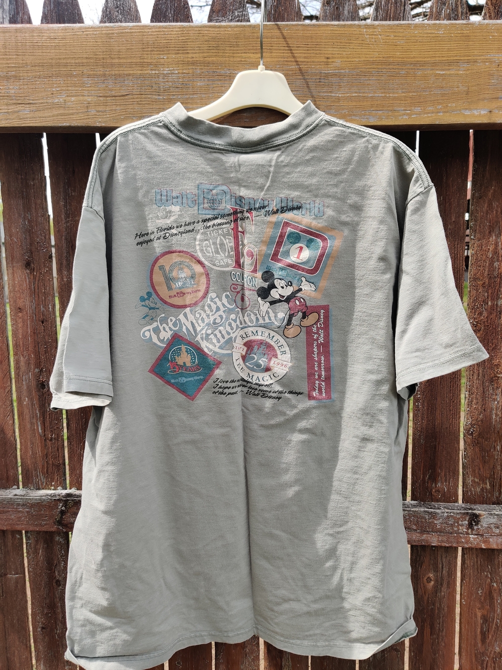 Disney Short Sleeve Graphic Tee - Gray
